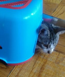 Thomas & Friends TrackMaster, Stepstool 15 71FZiThmmSL