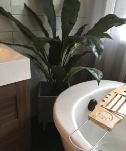 Nearly Natural 6739 Birdsnest Plant, 3.5-Feet, Green 25 71Fb5Y0K7eL