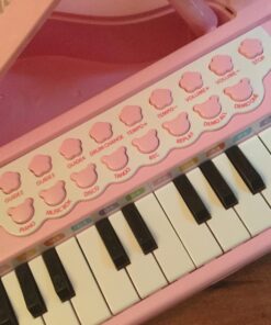 Love&Mini Piano Toy Keyboard for Kids Birthday Gift Age 1+ Pink 24 Keys Toddler Piano Music Toy Instruments with Microphone 24 Keys Pink 53 71Fdypb4OEL