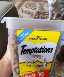 TEMPTATIONS Classic Crunchy and Soft Cat Treats Tasty Chicken Flavor, 16 oz. Tub 41 71Fg6RtzNDL