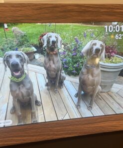 Canupdog 10.1 WiFi Digital Picture Frame, IPS Touch Screen Smart Cloud Digital Photo Frame with 16GB Storage, Wall Mountable, Auto-Rotate, Motion Sensor, Share Photos via Frameo App 10.1 inch Wooden 28 71FgLRelDHL