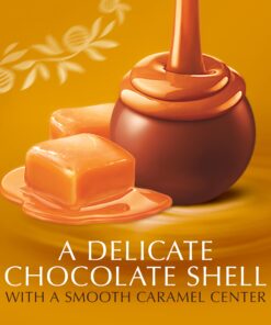 Lindt LINDOR Caramel Milk Chocolate Truffles, Milk Chocolate Candy with Smooth, Melting Truffle Center, Great for gift giving, 25.4 oz., 60 Count 60 Count (Pack of 1) 22 71FgNM5Zx3S 1