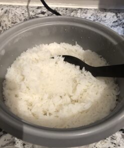 Zojirushi NHS-10 6-Cup (Uncooked) Rice Cooker 6 Cup 22 71Fgt0kPU1L