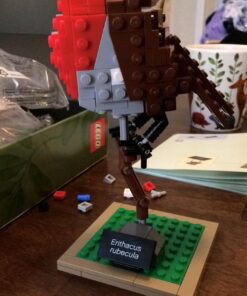 LEGO Ideas 21301 Birds Model Kit 37 71FhYtF86L 1