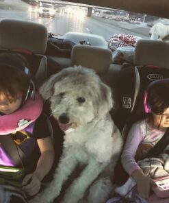 Graco TurboBooster LX Highback Booster Seat with Latch System, Matrix, 10.55 Pound 26 71FjGU9DrdL