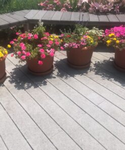 Jack's Classic Blossom Booster 10-30-20 Water Soluble Plant Food for Flowering Plants, 1.5lb 1.5 Pounds 31 71Fl 0f6M0L