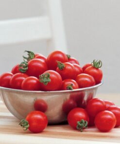 Alternative view of Burpee Super Sweet 100' Hybrid Cherry Tomato, 50 Seeds