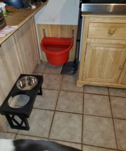 Little Giant® Automatic Animal Waterer | 4 Gallon | Float Controlled Automatic Waterer for Livestock | Heavy Duty and Durable | Made in USA | Red 21 71Fo6u3S9PL