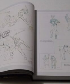 He-Man and She-Ra: A Complete Guide to the Classic Animated Adventures 16 71FouHmDLGL