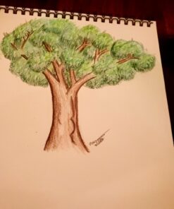 Strathmore Colored Pencil Spiral Paper Pad 9"X12"-30 Sheets -62477900 9x12 36 71FpGrFmszL