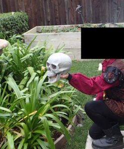 Prextex 6.5" Plastic Skull Head Halloween Decor | Realistic Life-Size Skeleton Skull Halloween & Day of The Dead Decoration | Scary Human Skull Replicas Skeleton Decor | Head Skulls Decor 27 71FqqtZvynL 1