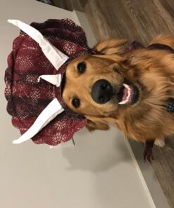 Animal Planet PET20104 Triceratops Dog Costume, Large 18 71FukKOzGML