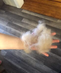 DakPets Pet Deshedding Tool | Professional Cat and Dog Brush for Shedding | Fur Deshedding Brush and Pet Hair Remover for Cats and Dogs | Stainless Steel Cat and Dog Shedding Brush for Pet Grooming Hot Pink 60 71Fv0XkxlLL