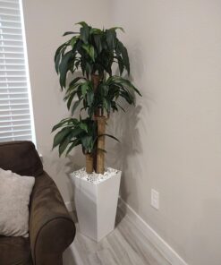 Nearly Natural - 6584 62in. Corn Stalk Dracaena Silk Plant (Real Touch), 24" x 28" x 62", Green artificial plant 56 71FwPMrd1L