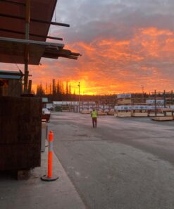 Escolite UV Flashlight Black Light, 51 LED 395 nM Ultraviolet Blacklight Detector for Dog Urine, Pet Stains and Bed Bug 51 UV LED Flashlight 34 71FxnhcHYSL