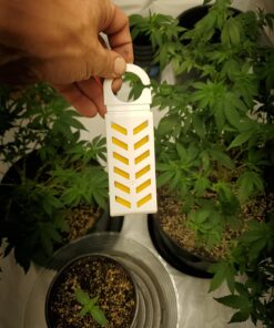 Fruit Fly BarPro – 4 Month Protection Against Flies, Cockroaches & Other Pests. Fly Traps for Indoors/Outdoor. Better Than Mosquito Zapper 1 Pack 28 71FzSZSok4L