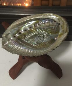 Vrinda ®Abalone Shell and 6'' Wooden Tripod Stand 40 71G RsP76GL