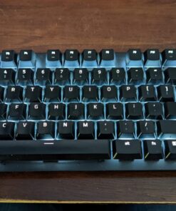 Razer BlackWidow Lite TKL Tenkeyless Mechanical Keyboard : Orange Key Switches - Tactile & Silent - White Individual Key Lighting - Compact Design - Detachable Cable - Classic Black Orange Switches - Tactile & Silent 45 71G04acU2qL