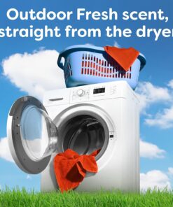 Bounce Dryer Sheets Laundry Fabric Softener, Outdoor Fresh, 240 Count Dryer Sheets, 240 count 27 71G1lG0RqYL