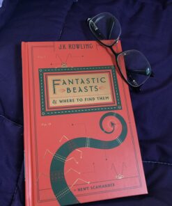 Fantastic Beasts and Where to Find Them 29 71G2ux7zlYL