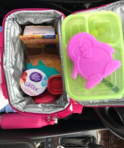 Fit & Fresh Cool Coolers Kids Lunch Box Ice Packs, Slim Ice Packs for Lunch Bags, Lunch Ice Packs Reusable-Multicolored 4 Pack (Penguin) Penguin 55 71G3h5wydXL 1