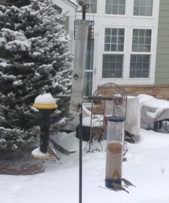 Droll Yankees 21964205201 787461785928 Squirrel Proof Bird Feeder, Yankee Whipper, 28-Inch, 4 P, Evening Blue 22 71G4yjmXwML