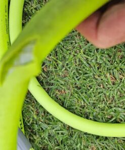 Flexzilla Garden Hose 5/8 in. x 100 ft., Heavy Duty, Lightweight, Drinking Water Safe, ZillaGreen - HFZG5100YW-E 5/8" x 100' (feet) 49 71G5s4Rlv8L