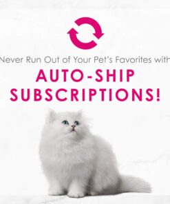 Purina Fancy Feast Pate Wet Kitten - (24) 3 oz. Cans 27 71G91VpwVRL