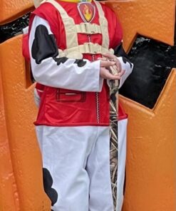 Rubie's Paw Patrol Marshall Child Costume, Small 16 71G9L42PdTL