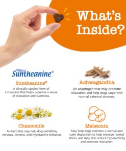 Zesty Paws Calming Chews for Dogs Composure & Relaxation for Everyday Stress & Separation Advanced Melatonin 90 Count Turkey - Melatonin 90 Count (Pack of 1) 25 71GAMma4heL