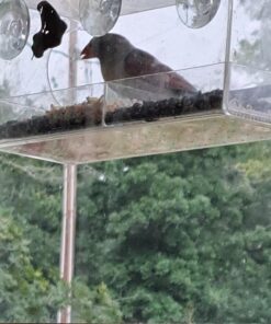 Extra Large Window Bird Feeders for Outside - Clear Bird Feeders for Viewing - Extra Strong Suction Cup Bird Feeder Window - Drainage Holes, Detachable Large Seed Tray, and Rubber Perch for Wild Birds Rectangular 27 71GCHTf onL