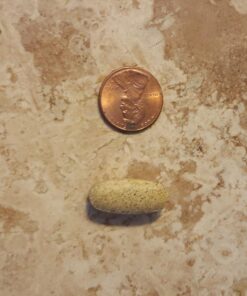 MegaFood Baby & Me 2 Prenatal Vitamin and Minerals - Vitamins for Women - with Folate (Folic Acid Natural Form), Choline, Iron, Iodine, and Vitamin C, Vitamin D and more - 60 Tabs (30 Servings) 60 Count (Pack of 1) 32 71GCJXRhVML 2