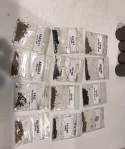 (12) Variety Pack Herb Garden Seeds | Basil, Cilantro, Parsley & More | ~4,000 Non GMO Heirloom Seeds | Survival Food for Survival Kits Gardening Gifts & Emergency Supplies by Open Seed Vault Herb Kit 12 pack 39 71GE8nAPdxL 3