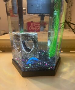 TetraBetta PLUS Floating Mini Pellets, Fish Food With Natural Color Enhancer, 1.2 ounces 1.2 Ounce (Pack of 1) 30 71GGFzP8qlL