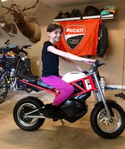 Razor RSF650 Electric Bike for Ages 16+ - 36V Rechargeable battery, Up to 17 MPH and 50 mins of Ride Time, for Riders up to 220 lbs 70 71GGk2AsosL