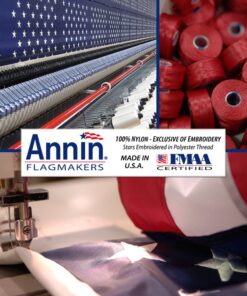 Annin Flagmakers American Flag All-Weather Nylon SolarGuard Nyl-Glo, 4 x 6 Feet (Model 2220) 4x6 ft 24 71GIRHFeHWL