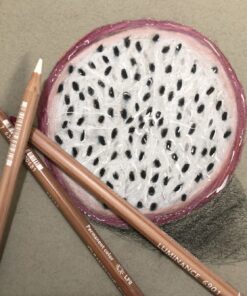 Caran d'Ache Luminance 6901 Clr Pncl Set 76 Artist Rng Pencil Set 48 71GJJEMISXL