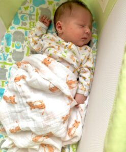 Fisher-Price Rock with Me Bassinet Green 45 71GMou rMcL