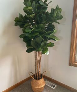 Nearly Natural 6ft Fiddle Leaf Fig Artificial Trees, 72in, Green 72 in 56 71GNUrnaFPL