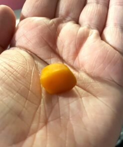 Nature's Bounty Optimal Solutions Hair, Skin & Nails with Biotin and Collagen, Citrus-Flavored Gummies Vitamin Supplement, 2500 mcg, 80 Ct 80 Count (Pack of 1) 27 71GOQk11YfL