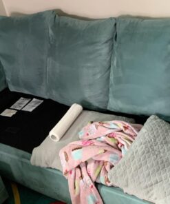 Blue Coral DC22 Upholstery Cleaner Dri-Clean Plus with Odor Eliminator, 22.8 oz. Aerosol 59 71GRkVEFxgL