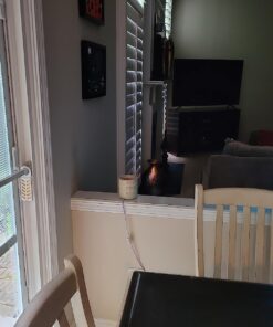 Fruit Fly BarPro – 4 Month Protection Against Flies, Cockroaches & Other Pests. Fly Traps for Indoors/Outdoor. Better Than Mosquito Zapper 1 Pack 24 71GRzOhmWbL