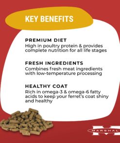 Marshall Pet Products Natural Complete Nutrition Premium Ferret Diet Food with Real Chicken Protein, Highly Digestible, 4 lbs 4 Pound (Pack of 1) 9 71GSnCSuPTL