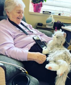 JOY FOR ALL - Silver Cat with White Mitts - Interactive Companion Pets - Realistic & Lifelike 22 71GdKIzt1IL