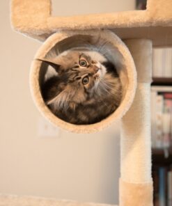 Go Pet Club Classic Cat Tree, Faux Fur Finish, Sisal Rope Scratcher, 62"H, Beige 57 71GegeAnATL