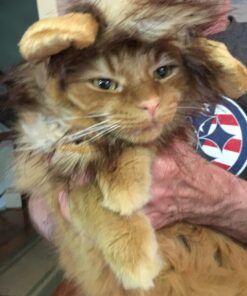 Pet Krewe Cat Lion Mane Halloween Costume – Fits Neck Size 8”-14 - Lion Costume for Small Cats and Kittens – Ideal for Halloween, Cat Birthday, Cat Cosplay, Cat Outfits, Pet Clothes One size fits all 39 71GfrWtPT5L