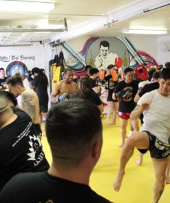 Lasko High Velocity Max Performance Floor Fan with Wall mount Option, 3 Powerful Speeds, Pivoting Fan Head for Home, Garage, Attic, 20", Black, 2265QM 43 71Gh3qa5vML