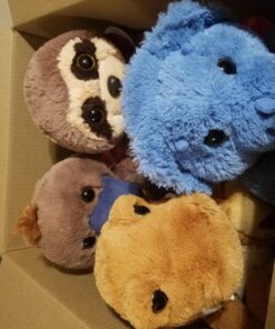 Aurora - Taddle Toes - 10" Roaree T-Rex 22 71GjAhgdgGL