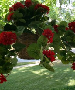 Nearly Natural 6609-RD 24in. Geranium Hanging Basket Silk Plant,Red,10.25" x 10.25" x 17.5" Red 24 71GkYTOnuPL