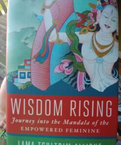 Wisdom Rising: Journey into the Mandala of the Empowered Feminine 14 71Glpr6Gi2L